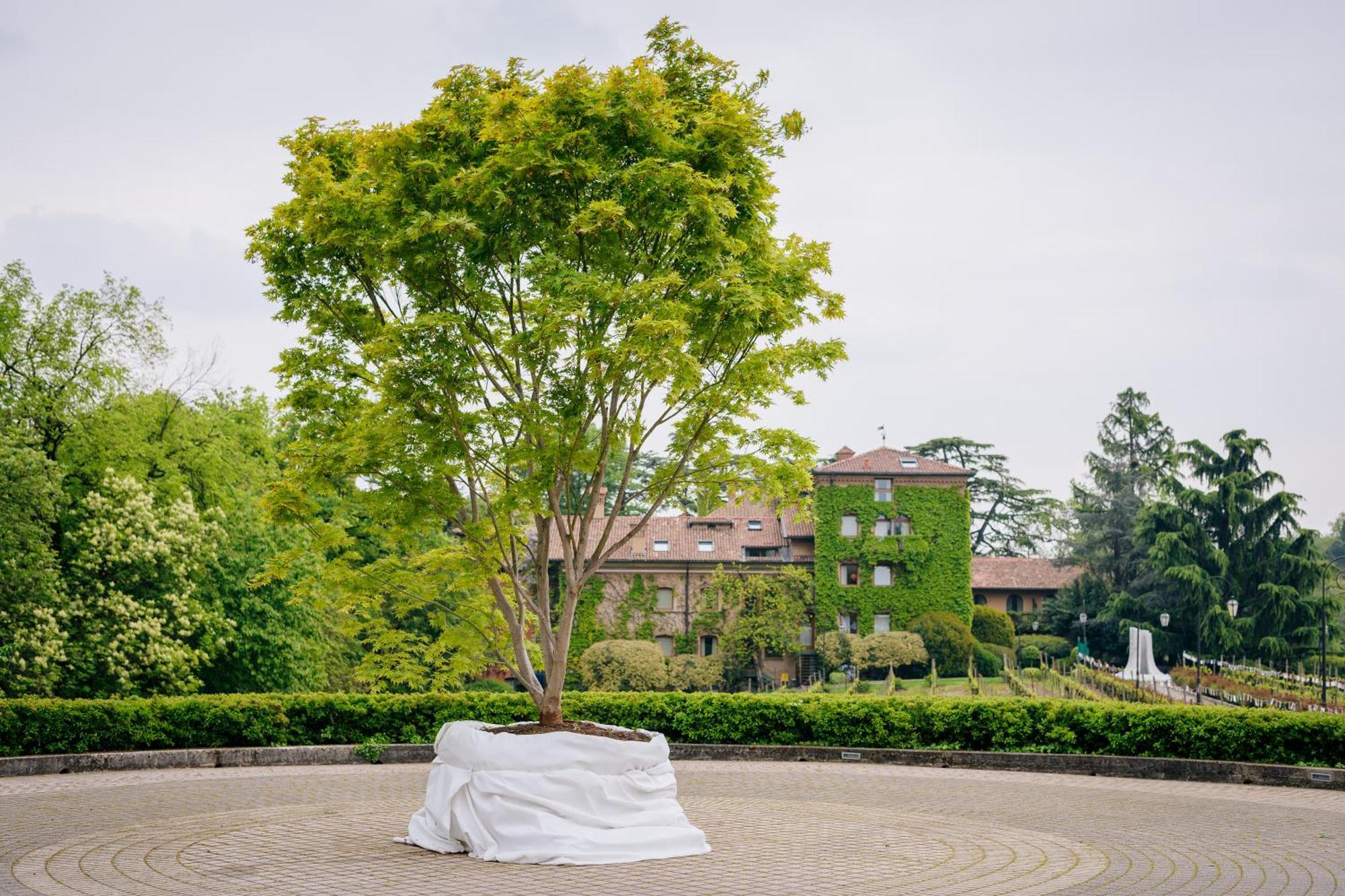 L'albereta Relais & Chateaux 5*